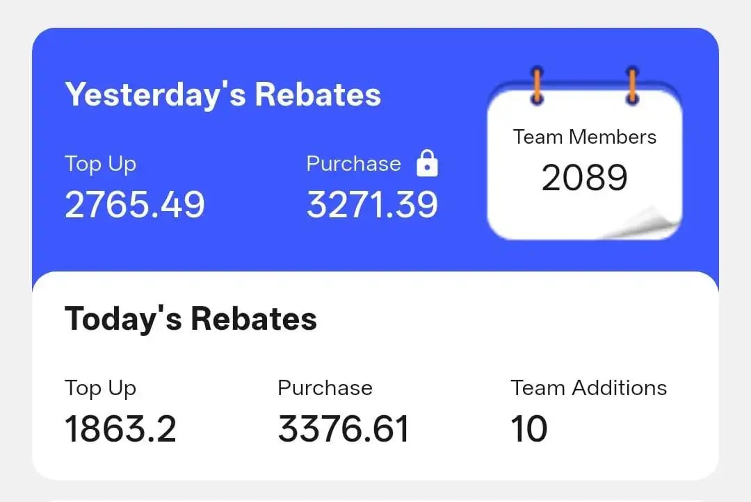 RushPay App Screenshot - Team Earnings